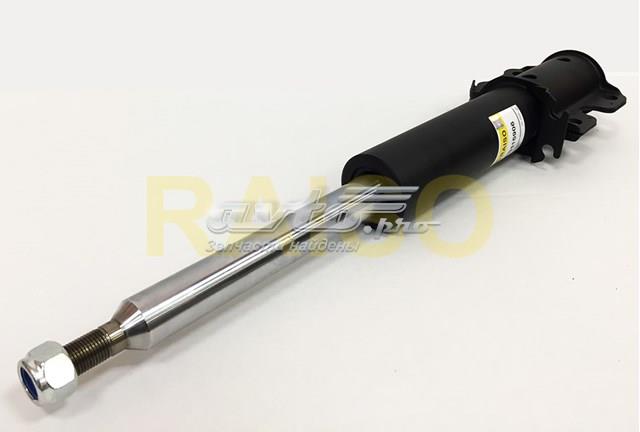 RS115906 Raiso Стійка передня