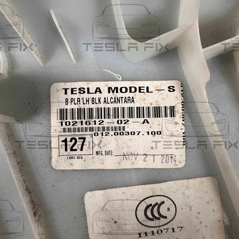  Tesla 102161202A