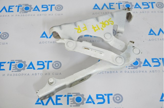 Завіса капота права FPS FP4038286 ціна, від 20.11 USD