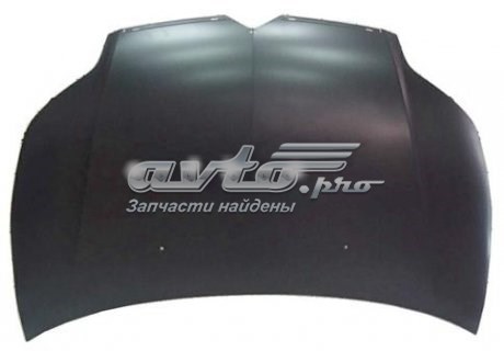 Капот FPS FP2008280