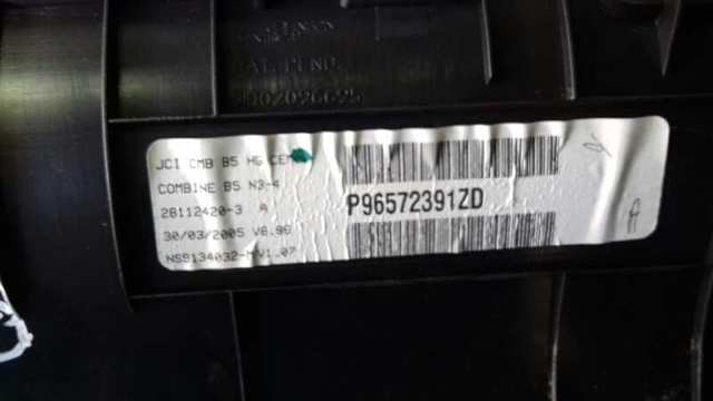 96572391ZD Peugeot/Citroen 