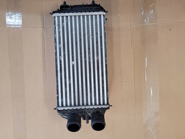 Купити 9825341380 Peugeot/Citroen Радіатор интеркуллера
