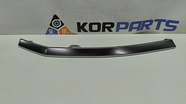 86596GI010SCR Hyundai/Kia 