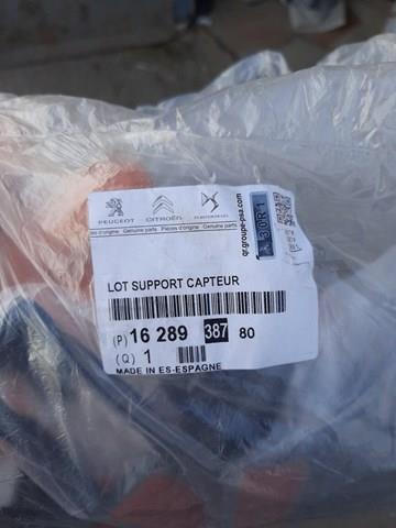 1628938780 Peugeot/Citroen 