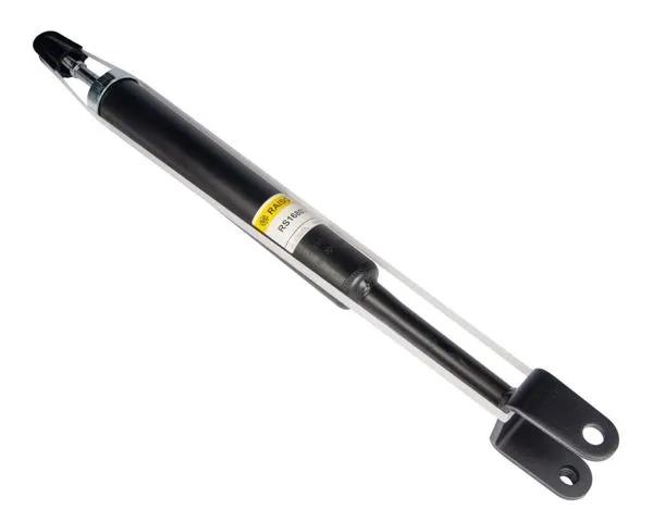 RS168074 Raiso Амортизатори задні