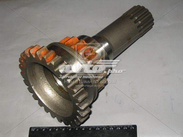 851601026 MTZ 