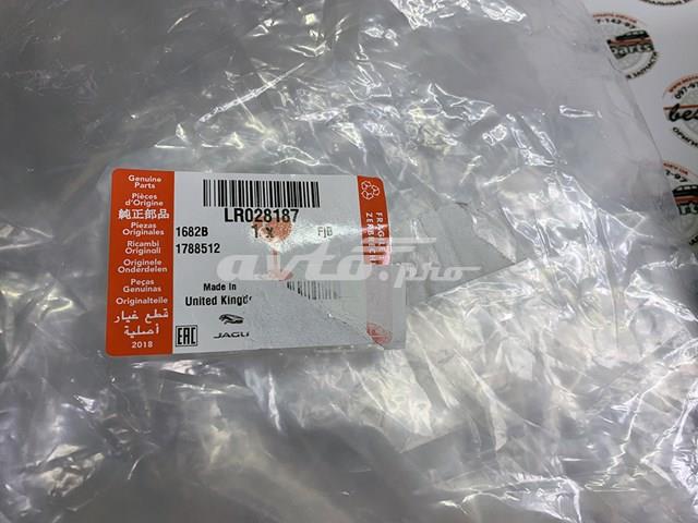 LR028187 Land Rover Молдинг бампера переднього, центральний