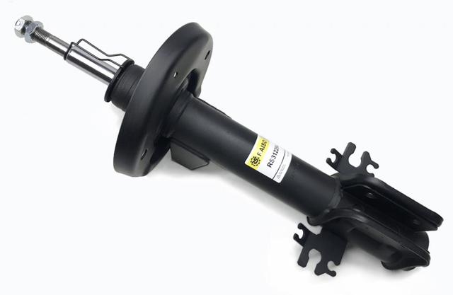 RS312294 Raiso Стійка передня