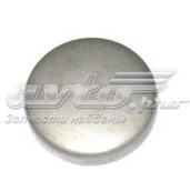 Заглушка головки блока на Mercedes Benz Truck TRUCK LK/LN2  