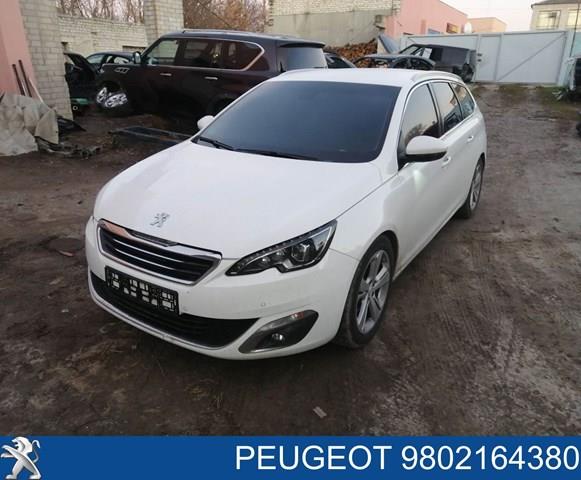 Купити 1611508680 Peugeot/Citroen Бічне дзеркало заднього виду ліве