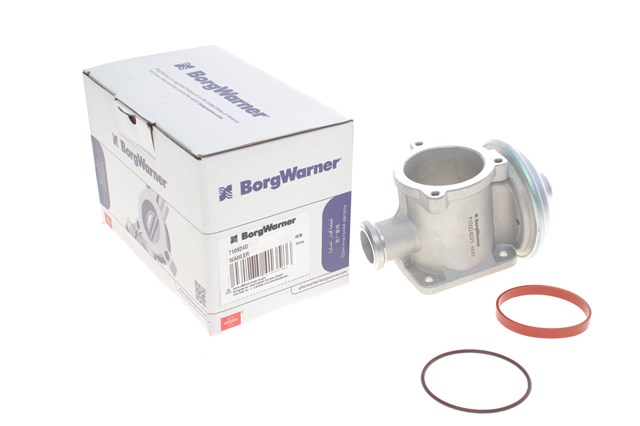 Клапан EGR Wahler 710924D ціна, від 47.93 USD