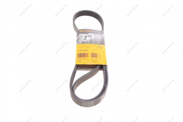 Купити 6PK1244 Continental/Siemens Ремінь генератора