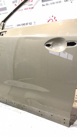 Водійські двері FPS FP4426315