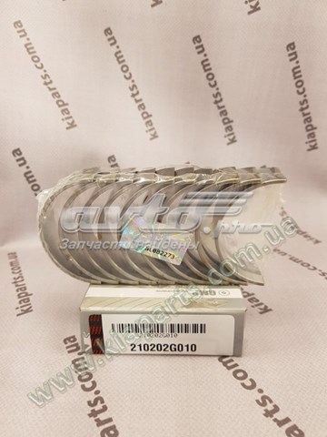 210202G010 KAP Вкладиші колінвала, корінні, комплект, стандарт (STD)