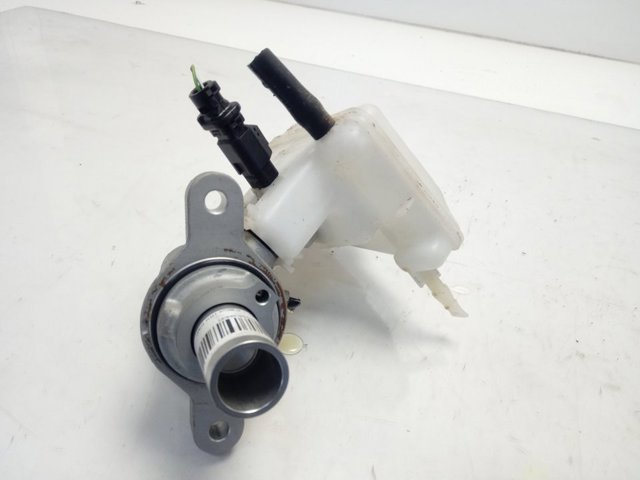  Peugeot/Citroen 9807687080