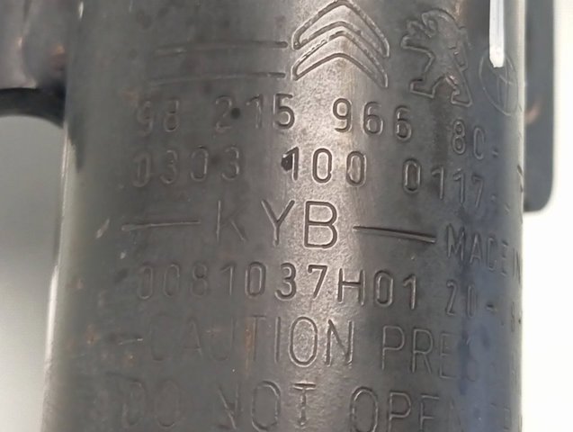 9821596680 Peugeot/Citroen Стійка передня