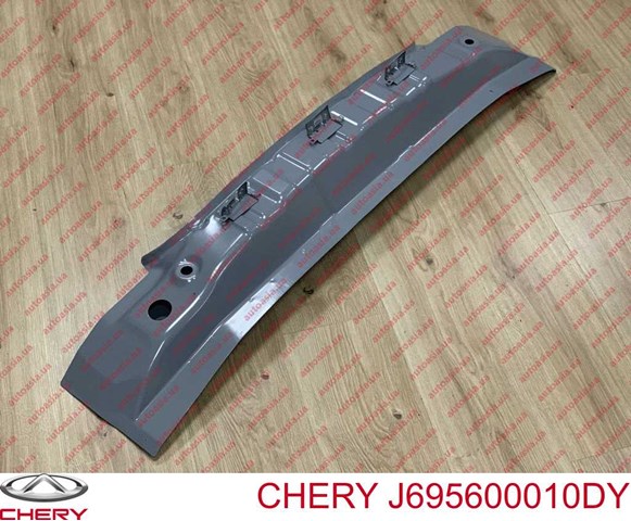 J695600010DY Chery 