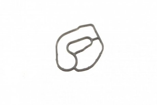 RWS1581 Rotweiss Прокладка кронштейна маслянного фільтра