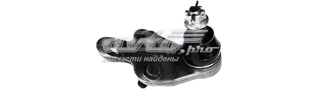 PFD99386CA Signeda 