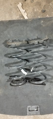 Купити 104447200G Tesla Задні пружини