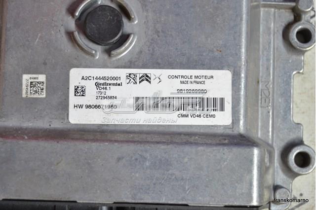 9819269980 Peugeot/Citroen 