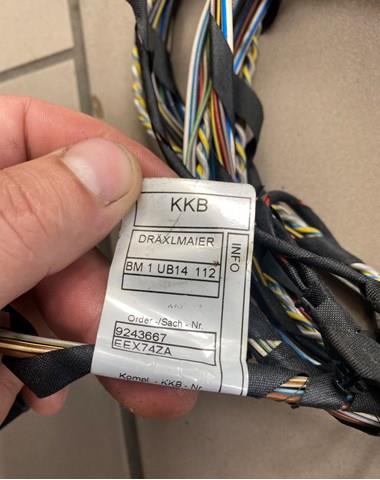 Купити 9243664 BMW Джгут проводів задніх дверей