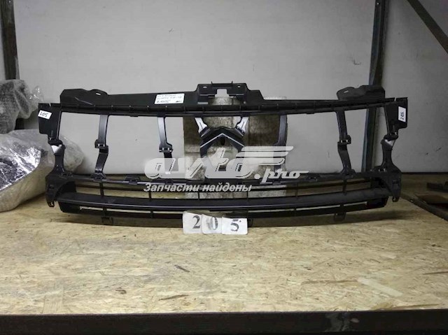  1497651077 Peugeot/Citroen