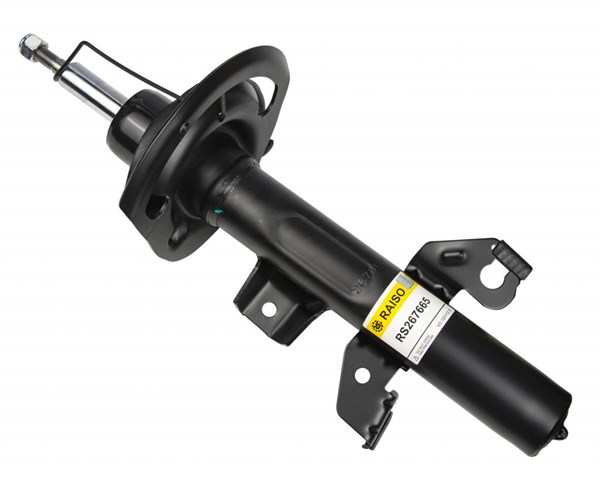 RS267665 Raiso Амортизатор передньої підвіски