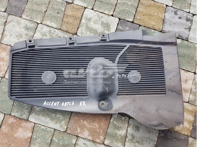 Купити 868221R200 Hyundai/Kia Підкрилок заднього крила, правий