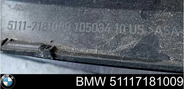 51117181009 BMW Кріплення протитуманки, лівої