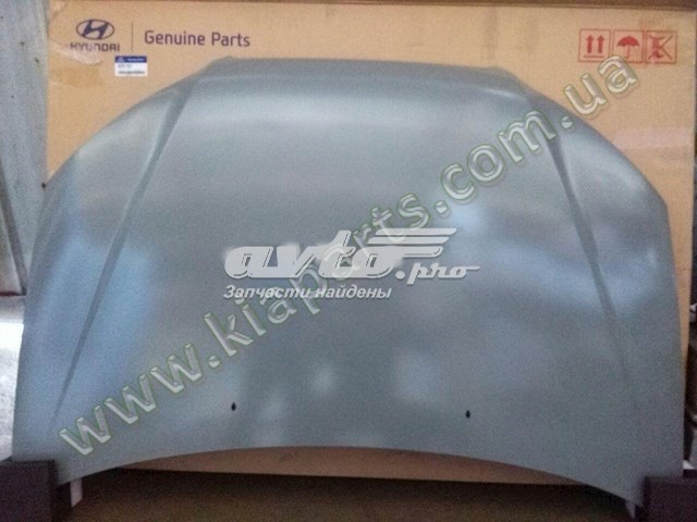 Купити 664004F011 Hyundai/Kia Капот