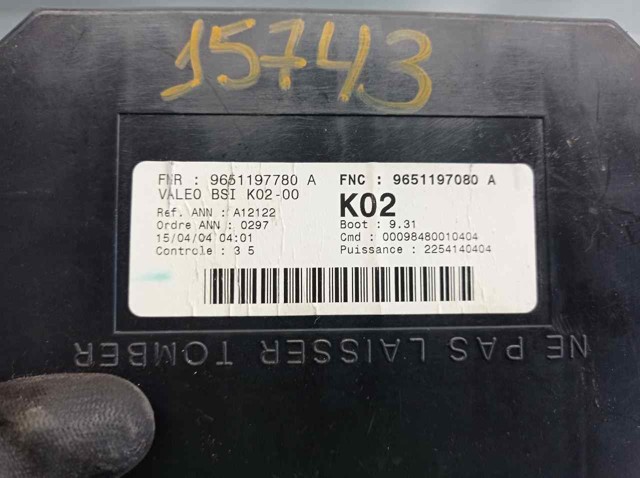 9651197780 Peugeot/Citroen 
