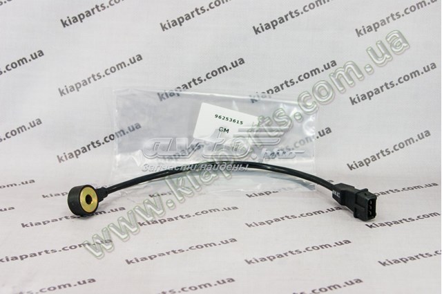 96255947 ZAZ Праве дзеркало заднього виду