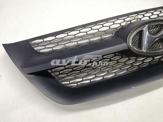 Облицювання радіатора Hyundai/Kia 863513K000 ціна, від 22.10 USD