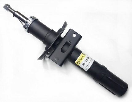 RS312594 Raiso Стійка передня