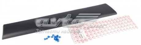 Купити RWS1160 Rotweiss Накладка заднього лівого крила