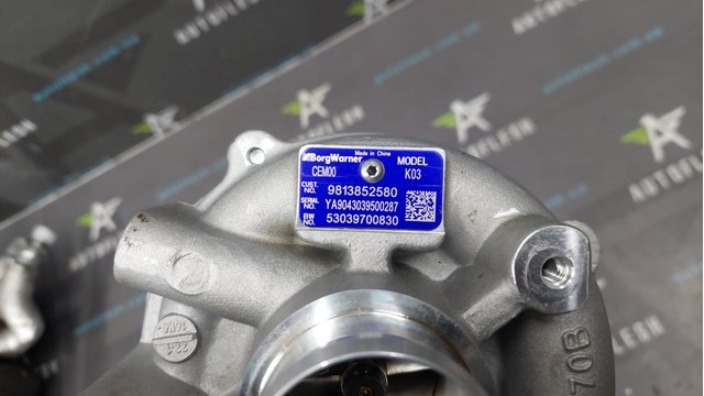 Купити 9813852580 Peugeot/Citroen Турбіна