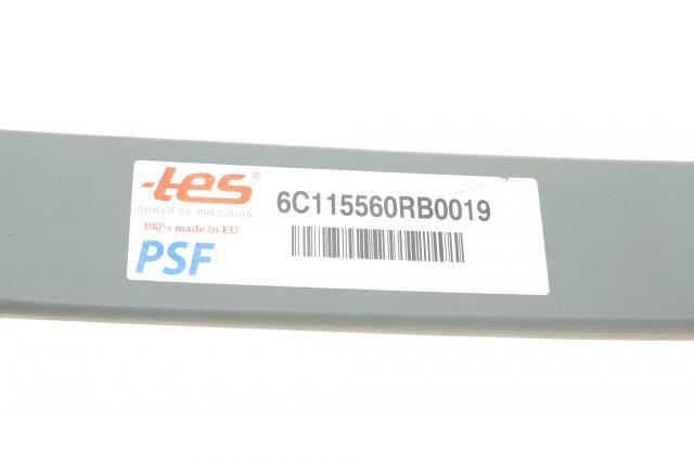 Купити 6C115560RB0019 TES Ресори задні (пружини задньої підвіски)