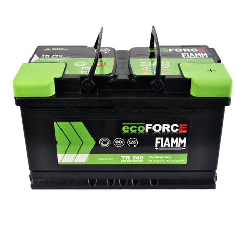 7906196 Fiamm 