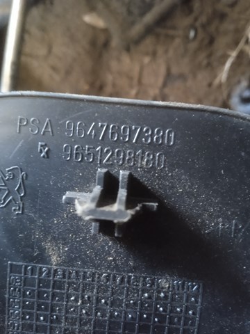 9647697380 Peugeot/Citroen 