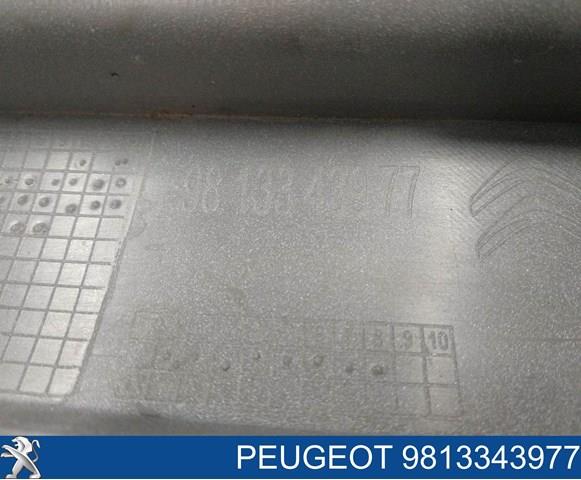 Купити 9813343977 Peugeot/Citroen Бампер задній, верхня частина
