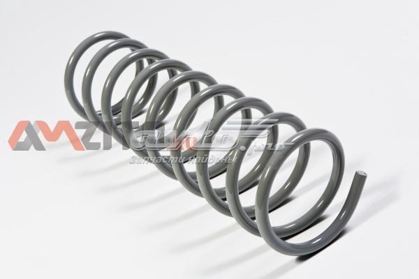 Купити 21020291271200 Lada Задні пружини