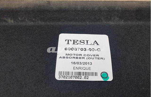  600870300C Tesla