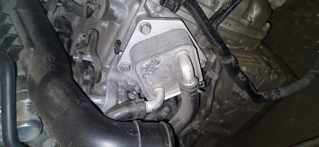 Радіатор охолодження, АКПП Honda 2241002271