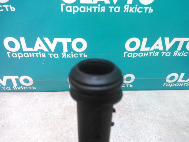 Купити 1183100Q0B Renault (RVI) 