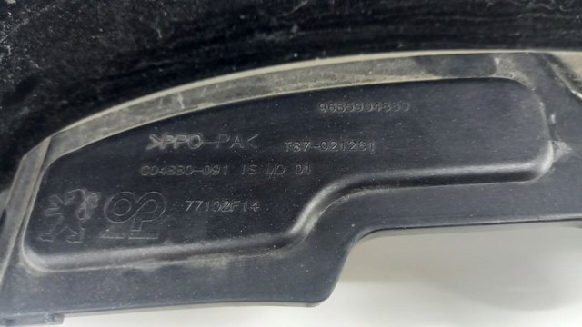  9685904880 Peugeot/Citroen