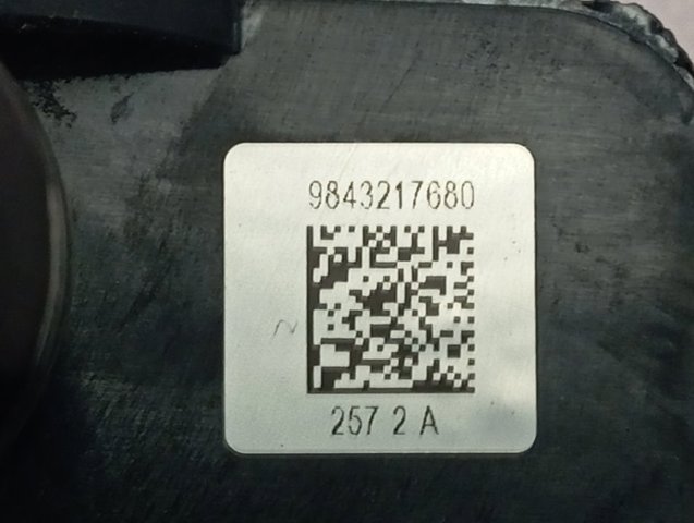 9843217680 Peugeot/Citroen 