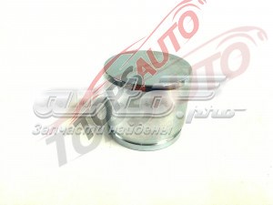 14657032 Centric Parts Поршень гальмівного супорта переднього