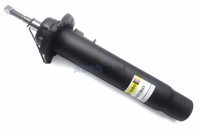 Амортизатора передній лівий RS313931 Raiso