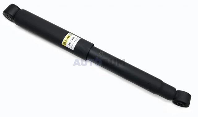 RS311234 Raiso Стійка передня